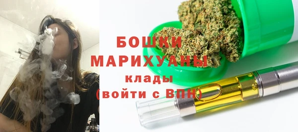 спайс Пересвет