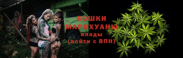 спайс Пересвет