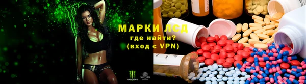 ПСИЛОЦИБИНОВЫЕ ГРИБЫ Пестово