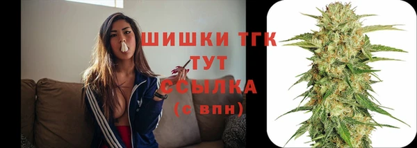 спайс Пересвет
